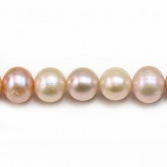 Multicolor round freshwater pearl  9.5-10.5mm  A x 40cm