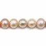 Perles de culture d'eau douce, multicolore, ronde,  9.5-10.5mm x 40cm A