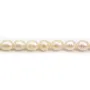Perles de culture d'eau douce, saumon, irrégulière, 10x12mm x 2pcs