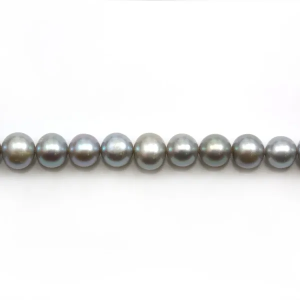 Perles de culture d'eau douce, gris, semi-ronde 7-9mm x 39cm