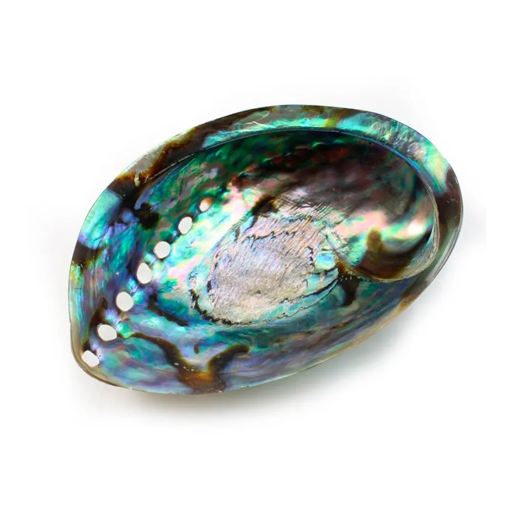 Coquille nacre abalone