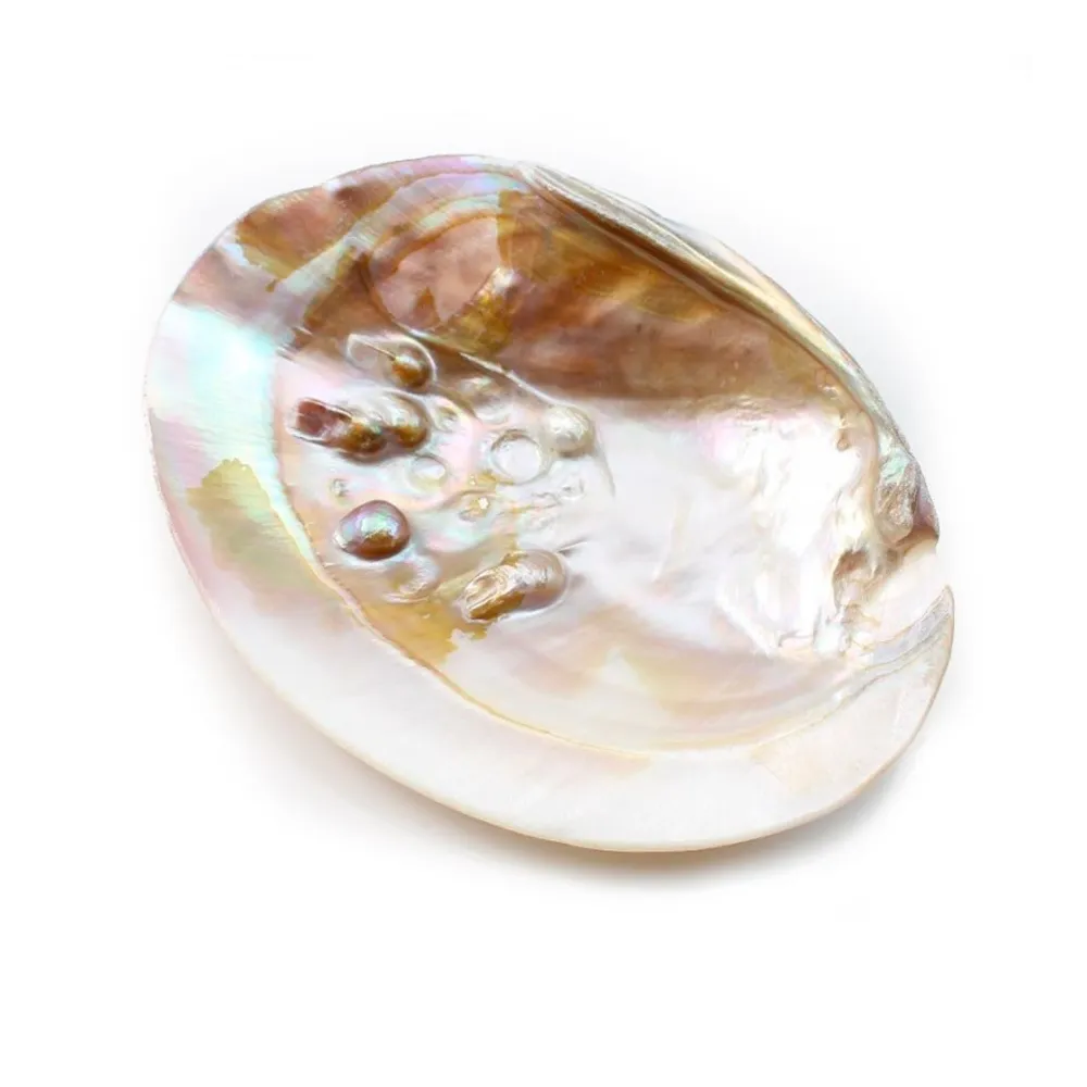 Coquillage avec perles incluses