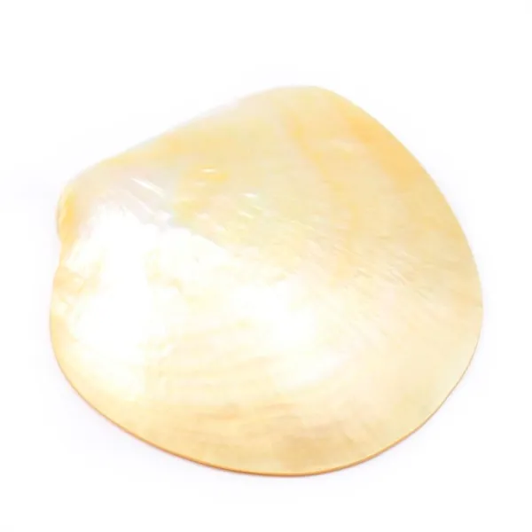 Nacre jaune