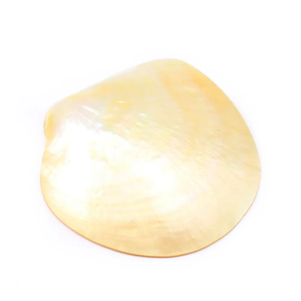 Nacre jaune