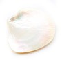 Yellow Mother-of-pearl 