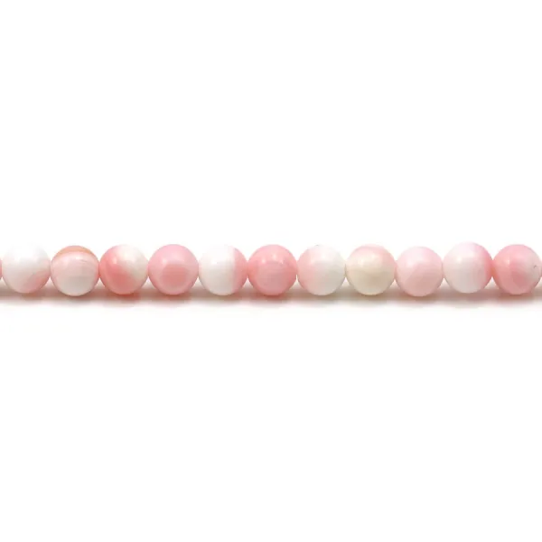 Perles de lambi rose, de forme ronde, mesurant 4mm x 40cm 