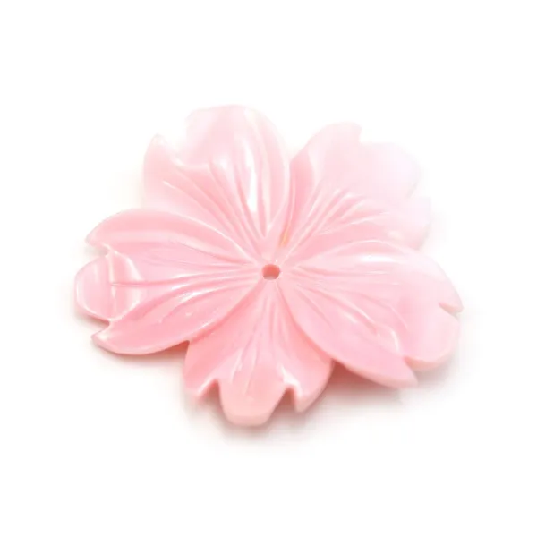 Lambi fleur percée 29x33mm x 1pc
