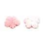 Lambi fleur percée 29x33mm x 1pc