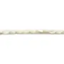 Nacre blanche en perles ovales sur fil 3mm x 40cm