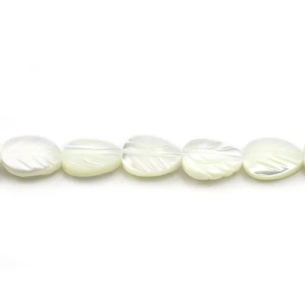 Nacre blanche feuille 6x9mm x 10pcs