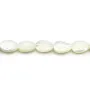 Nacre blanche feuille 6x9mm x 10pcs