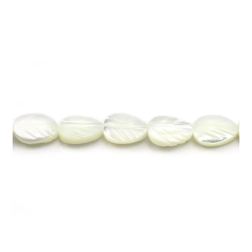 Nacre blanche feuille 6x9mm x 40cm