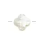 Nacre blanche en forme de trèfle Facetté 22mm x 1pc