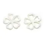 Nacre blanche en fleur de 5 feuilles 28mm x 1pc