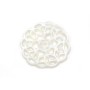 Mother-of-pearl in white color, in the shape of a flower, in size of 14mm x 1pc