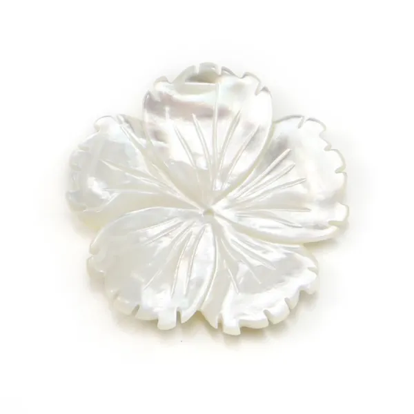Natural shell ''Flower'' in a bag 15mm x 1pc