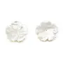 Nacre blanc 5 feuille rose 15mm x 1pc