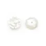 Coupelle fleur en nacre 8 mm blanc x2