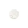 Nacre blanche en forme de trèfle à 4 feuilles 13mm x 1pc