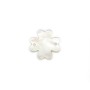 White mother-of-pearl four-leaf clover 12mm x 1pc