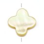 yellow shell with Clover 18mm x 1pc