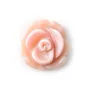 Nacre rose en Forme de Fleur Rose 8mm x 15pcs