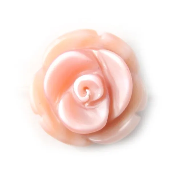 Mãe de pérola rosa sobre fio 12mm x 40cm