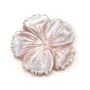 Nacre blanche en fleur de 5 feuilles 28mm x 1pc