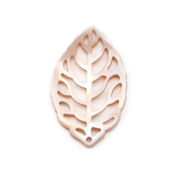 Natural shell ''Flower'' in a bag 15mm x 1pc