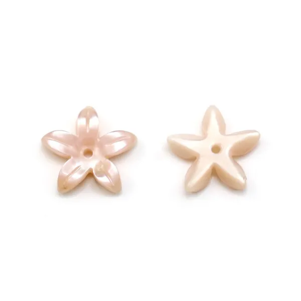 Nacre rose en forme de fleur 19.5mm x 2pcs