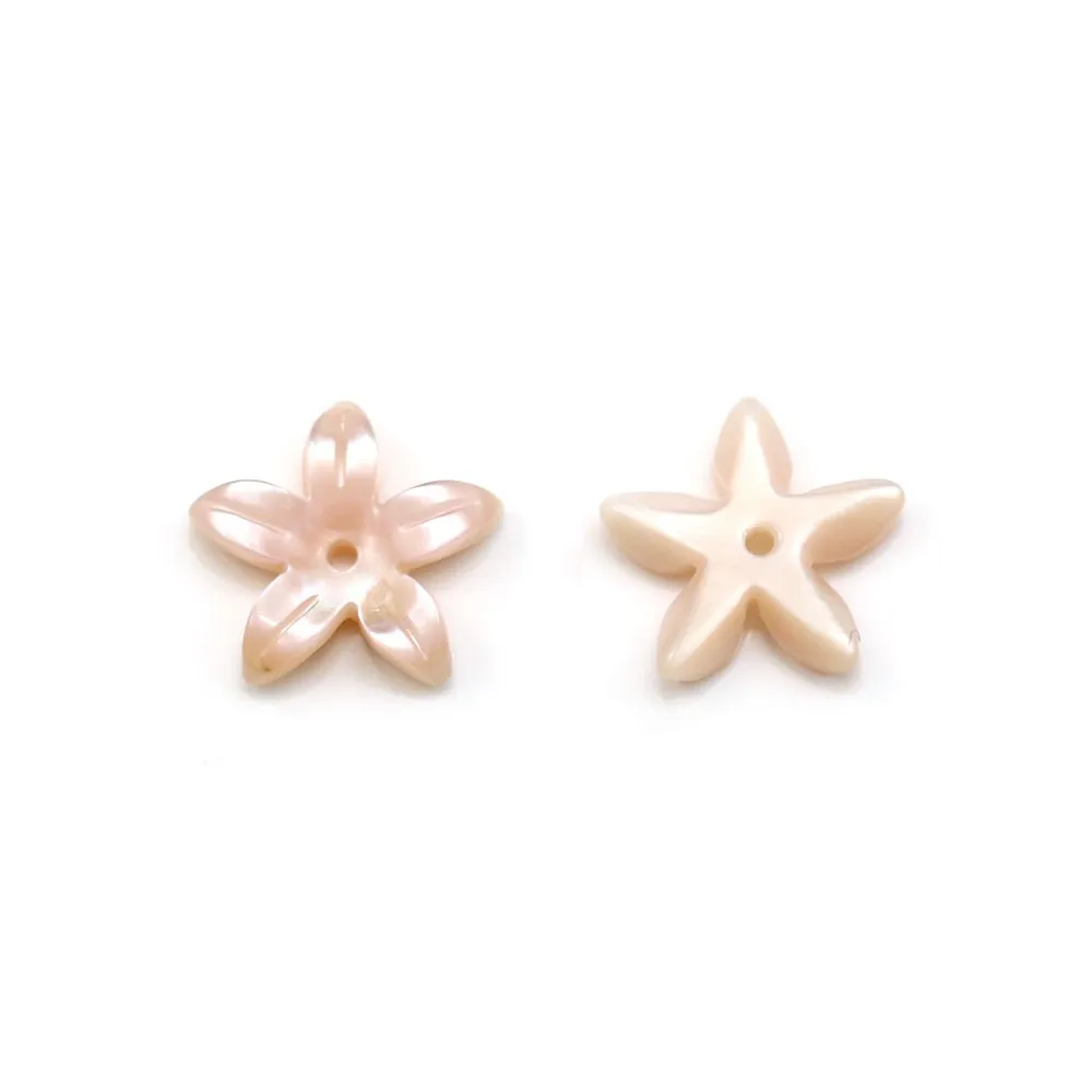 Nacre rose en forme de fleur 19.5mm x 2pcs