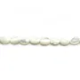 Nacre blanche en ovale sur fil 6x8mm x 40cm