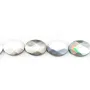 Nacre Grise en Forme d'Ovale Facette 6x10mm x 40cm 