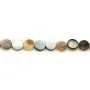 Nacre grise ronde plate 6mm x 40cm