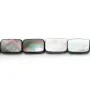 Nacre Grise en Forme de Rectangle 8x12mm x 5pcs