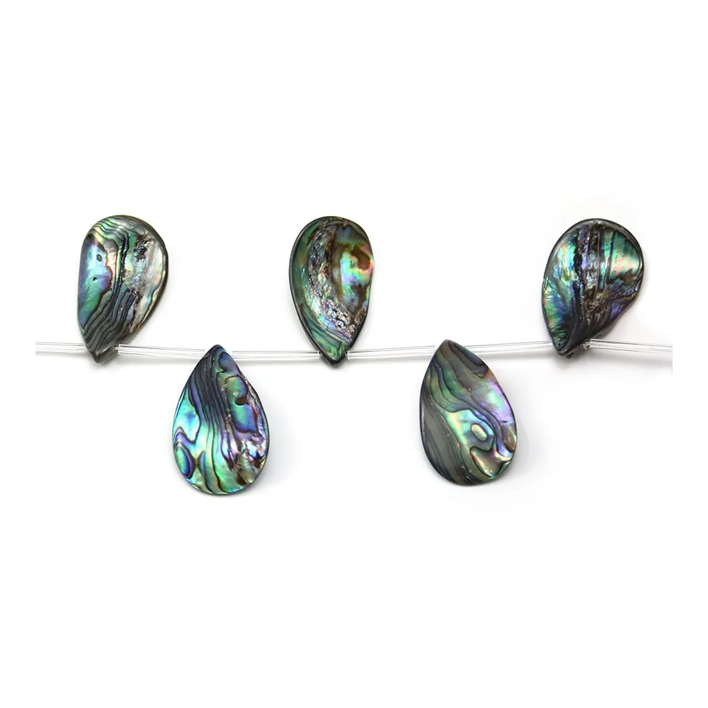 Nacre abalone en forme divers 34-31x19-20mm x 25cm