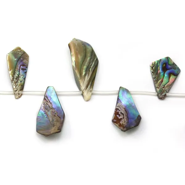 Mother of pearl abalone in various shapes 25-39x11-15mm x 40cm