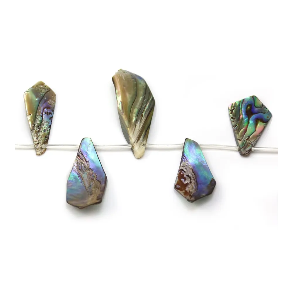 Nacre abalone en forme divers 39x25 - 11x15mm x 40cm