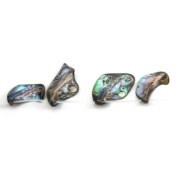 Nácar de abalone de formas e tamanhos diversos x 39cm (10 peças)