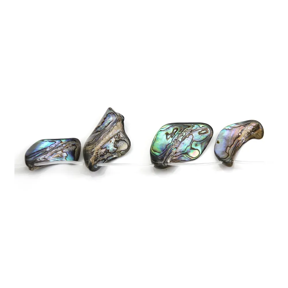 Nacre abalone de forme et de tailles diverses x 39cm