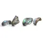 Nacre abalone de forme et de tailles diverses x 39cm