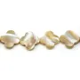 Nacre jaune en forme de trèfle 18mm x 2pcs