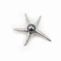Bélière & étoile de mer, argent 925 rhodié,pour perles semi-percées x 1pc