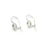 Ear hook, in 925 silver, in round shape of cabochon measuring 6mm x 2pcs