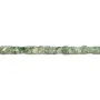 Jaspe de tache verte, en forme de cube, 4mm x 38cm