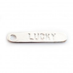 925 Sterling Silver Lucky charm 19mmx4mm x 2pcs 