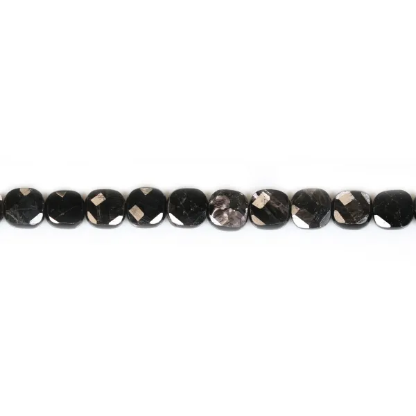 Hypersthene, en forme de carré facetté 8mm x 39cm