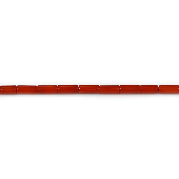 Bambou de mer teinte rouge tube 3x7mm x40 cm