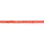 Bambou mer teinte orange Rond Facette 3mm x 40cm 