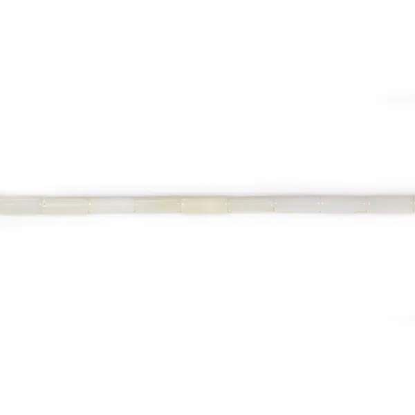 Bambou de mer blanc tube 2x4mm x 40cm